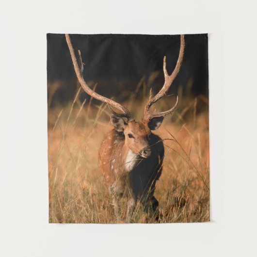 幼生生物 |バンダーブル国立公園 タペストリー (正面)