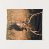 幼生生物 |バンダーブル国立公園 タペストリー (正面(横))