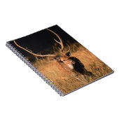 幼生生物 |バンダーブル国立公園 ノートブック (右側)