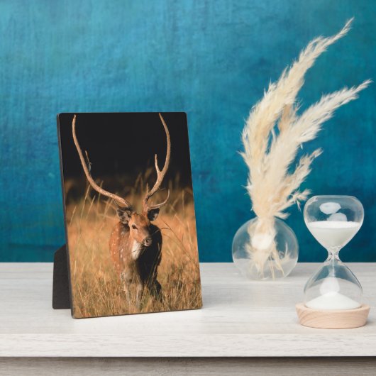 幼生生物 |バンダーブル国立公園 フォトプラーク (側面)