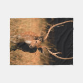 幼生生物 |バンダーブル国立公園 フリースブランケット (正面(横))