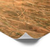 幼生生物 |バンダーブル国立公園 ポスター (角)