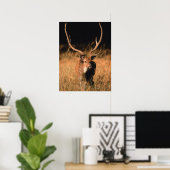 幼生生物 |バンダーブル国立公園 ポスター (ホームオフィス)