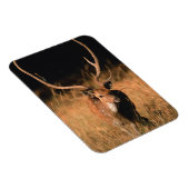 幼生生物 |バンダーブル国立公園 マグネット (右側)