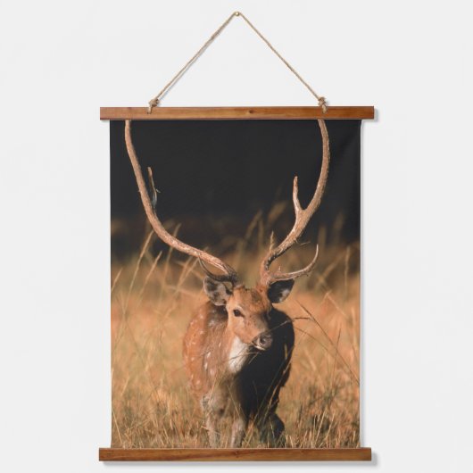 幼生生物 |バンダーブル国立公園 吊り下げ型タペストリー (正面)