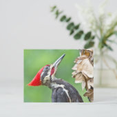 幼稚園のキツネギフトアパレル ポストカード (スタンド正面)