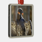 幼若王ハゲワシの羽ばたき メタルオーナメント (右)