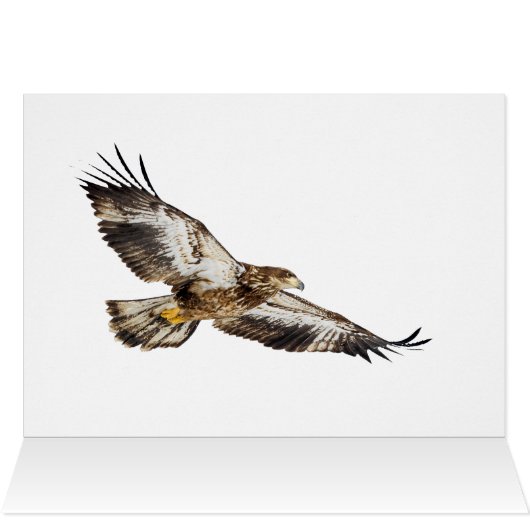 幼若頭のワシ (内部横(上))