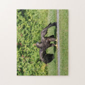 幼若頭のワシ ジグソーパズル (縦)