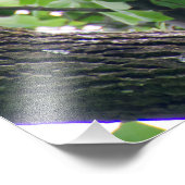 幼若頭のワシ フォトプリント            (角)