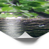 幼若頭のワシ フォトプリント            (角)