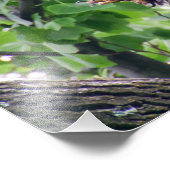 幼若頭のワシ フォトプリント            (角)