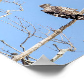 幼若頭のワシ ポスター (角)