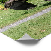 幼若頭のワシ ポスター (角)