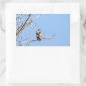 幼若頭のワシ 長方形シール (バッグ)