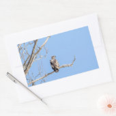 幼若頭のワシ 長方形シール (封筒)