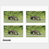 幼若頭のワシ 長方形シール (シート)