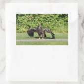 幼若頭のワシ 長方形シール (バッグ)