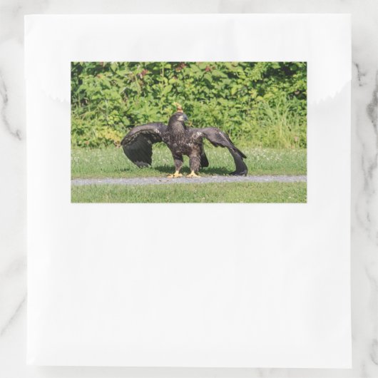 幼若頭のワシ 長方形シール (バッグ)