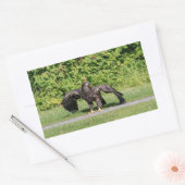 幼若頭のワシ 長方形シール (封筒)