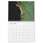 幼虫のカレンダー カレンダー (3月 2026)