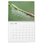 幼虫のカレンダー カレンダー (1月 2026)