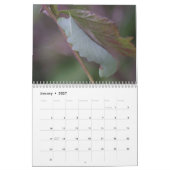 幼虫のカレンダー カレンダー (1月 2027)