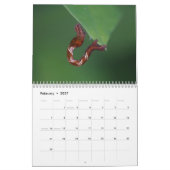 幼虫のカレンダー カレンダー (2月 2027)