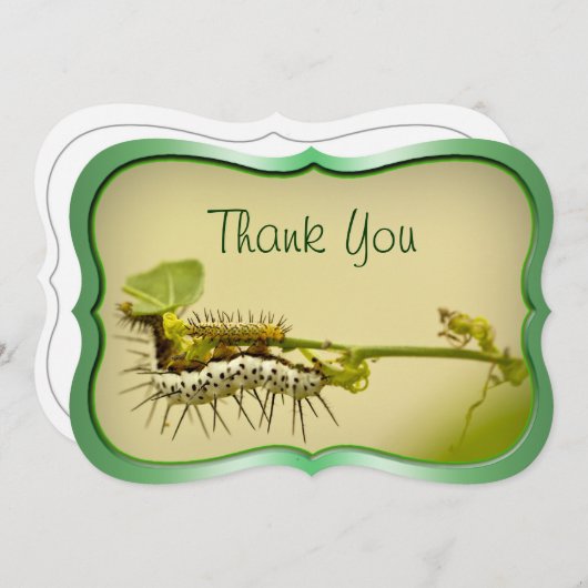 "" -幼虫のクローズアップの自然の写真ありがとう。 サンキューカード (正面/裏面)