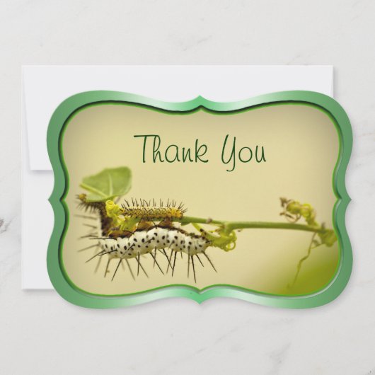 "" -幼虫のクローズアップの自然の写真ありがとう。 サンキューカード (正面)