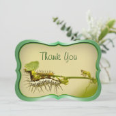 "" -幼虫のクローズアップの自然の写真ありがとう。 サンキューカード (スタンド正面)