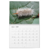 幼虫の壁掛けカレンダー カレンダー (3月 2027)