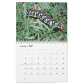 幼虫の壁掛けカレンダー カレンダー (1月 2027)