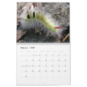幼虫の壁掛けカレンダー カレンダー (2月 2027)