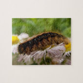 幼虫 ジグソーパズル (横)