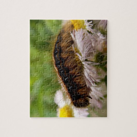 幼虫 ジグソーパズル (縦)