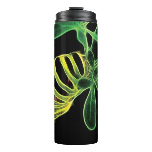 幼虫 タンブラー (正面)