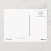 幼虫 ポストカード (裏面)