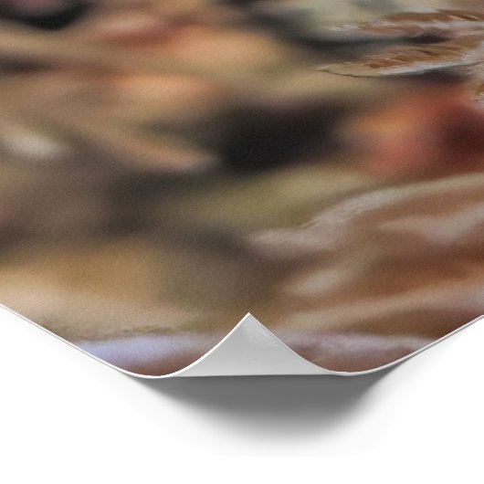 幼魚 ポスター (角)