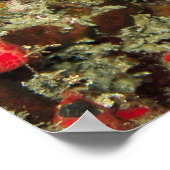 幼魚 ポスター (角)