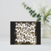 幽霊がブーって！ ポストカード (スタンド正面)