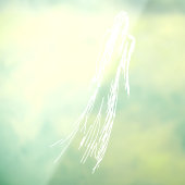 幽霊のような女 ウィンドウサイン (シート3)