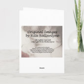 幽霊のよく出る家 カード (裏面)