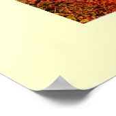 幽霊のよく出る木 ポスター (角)