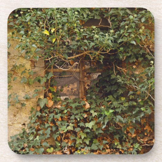 幽霊のよく出る窓 コースター (正面)