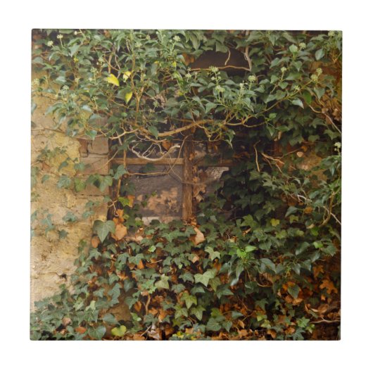 幽霊のよく出る窓   タイル (正面)