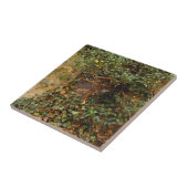 幽霊のよく出る窓   タイル (側面)