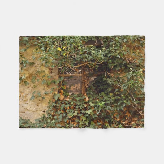 幽霊のよく出る窓 フリースブランケット (正面(横))