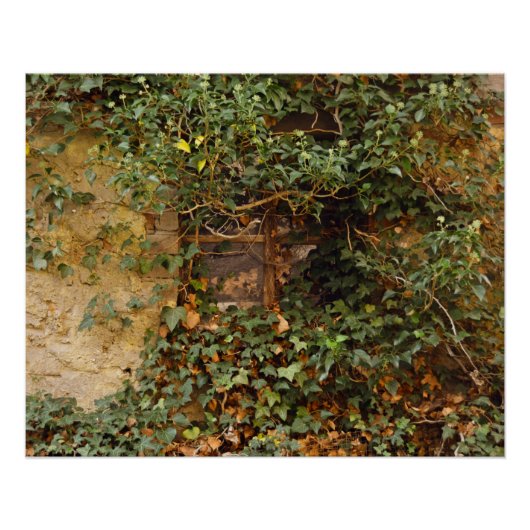 幽霊のよく出る窓 ポスター (正面)