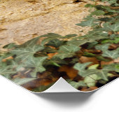 幽霊のよく出る窓 ポスター (コーナー)